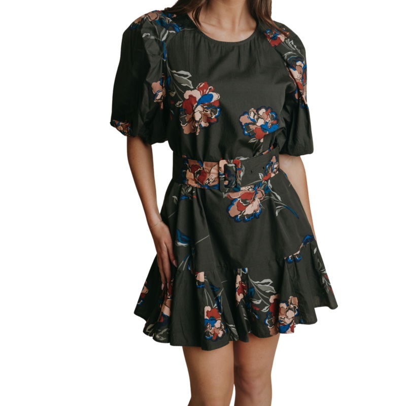 Alivia Dress, Hawthorne XS