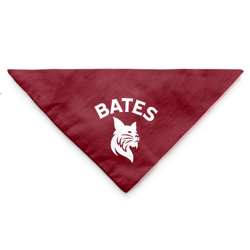 Pet Triangle Bandana (2 Size Options) Small