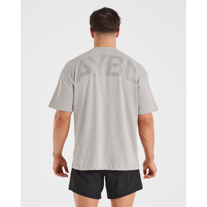 Essential Oversized T Shirt – Fog XS