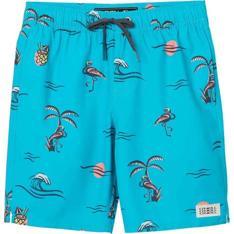 O’Neill Hermosa Volley Boardshorts 16″ – Boys