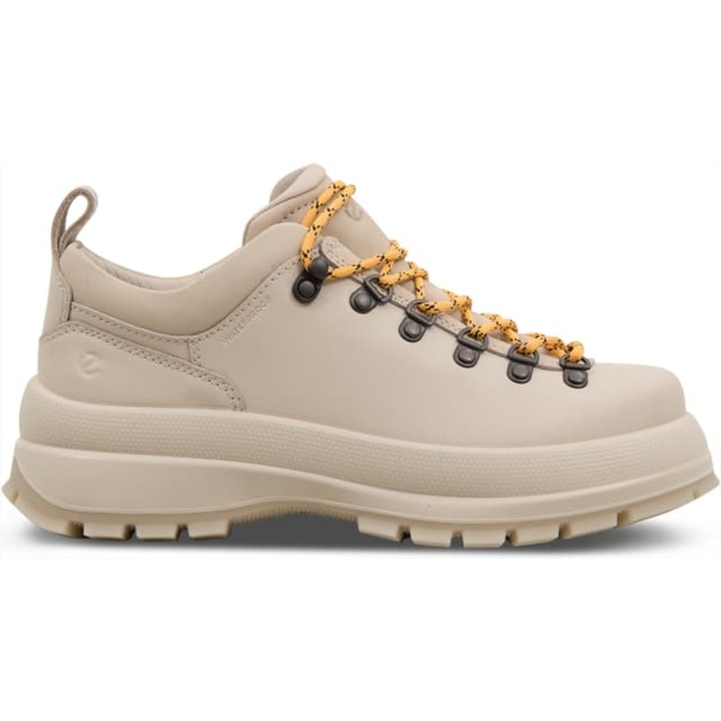 Ecco Track 30 Leather Waterproof Shoes – Women’s